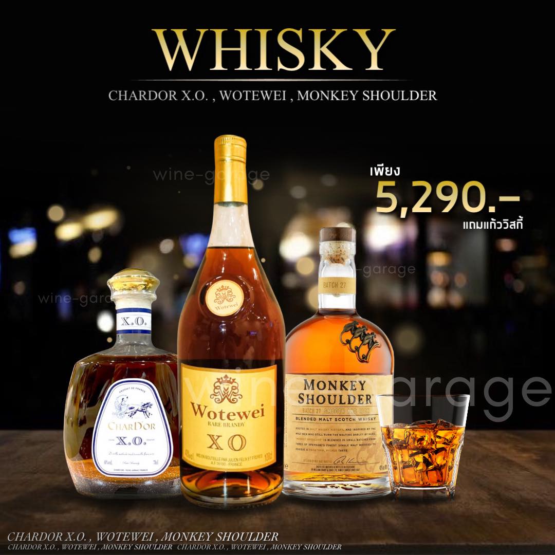 WK Collection 20